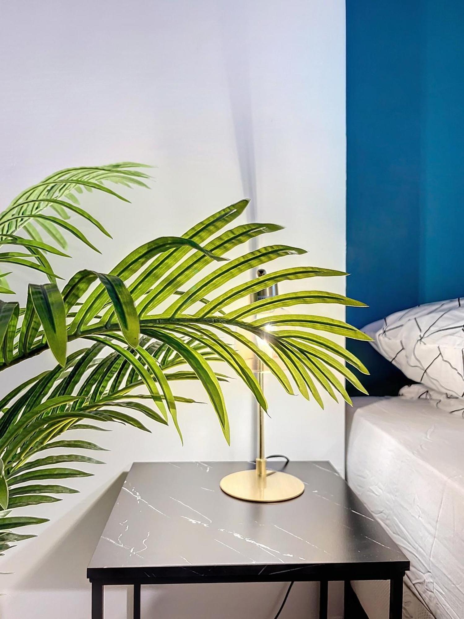 Apartmán Solstice T2 Hypercentre Smarttv Wifi Pamiers Exteriér fotografie